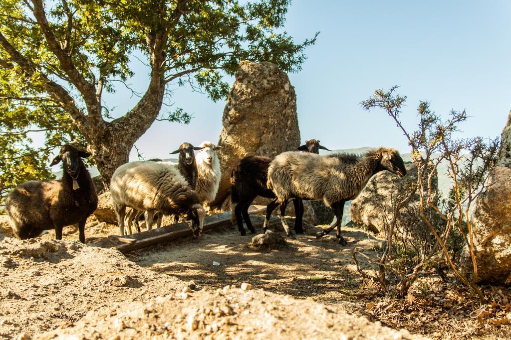 Готель La Taverna Dei Briganti Cotronei Екстер'єр фото
